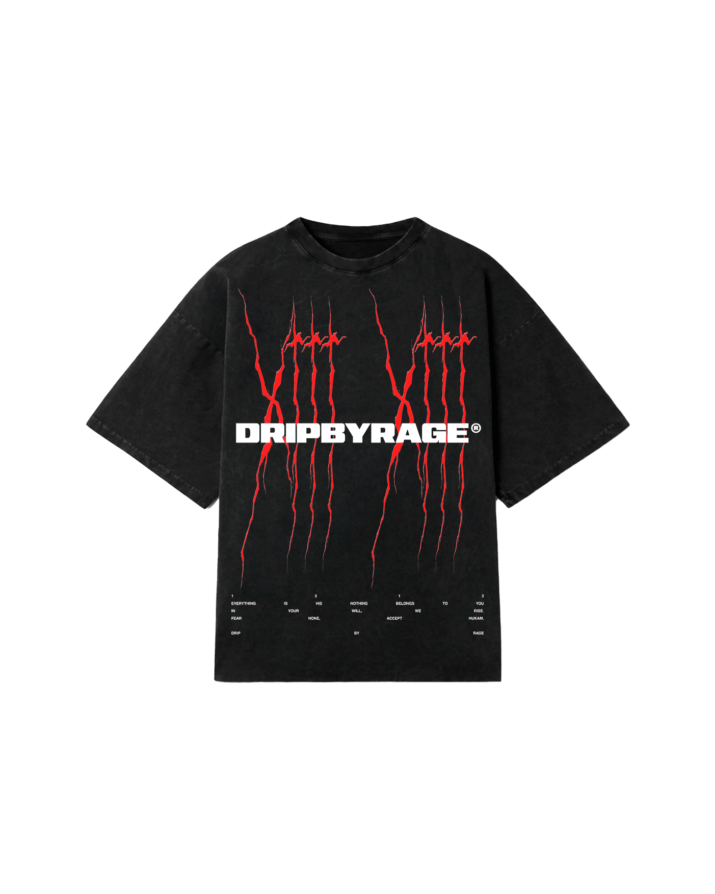 ALL IS HIS FADED T-SHIRT - Drip by Rage