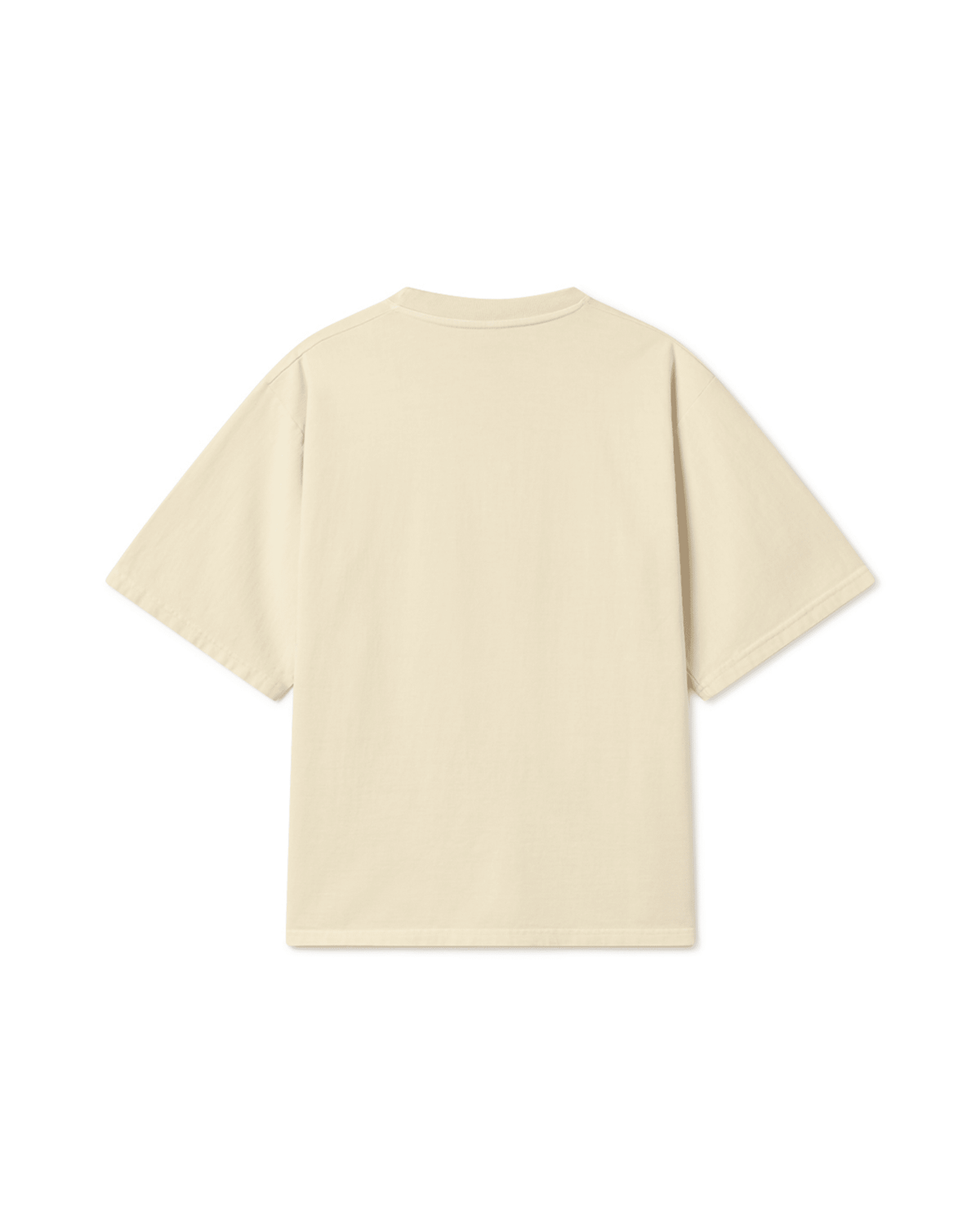 CHAMKILA T-SHIRT APRICOT - Drip by Rage