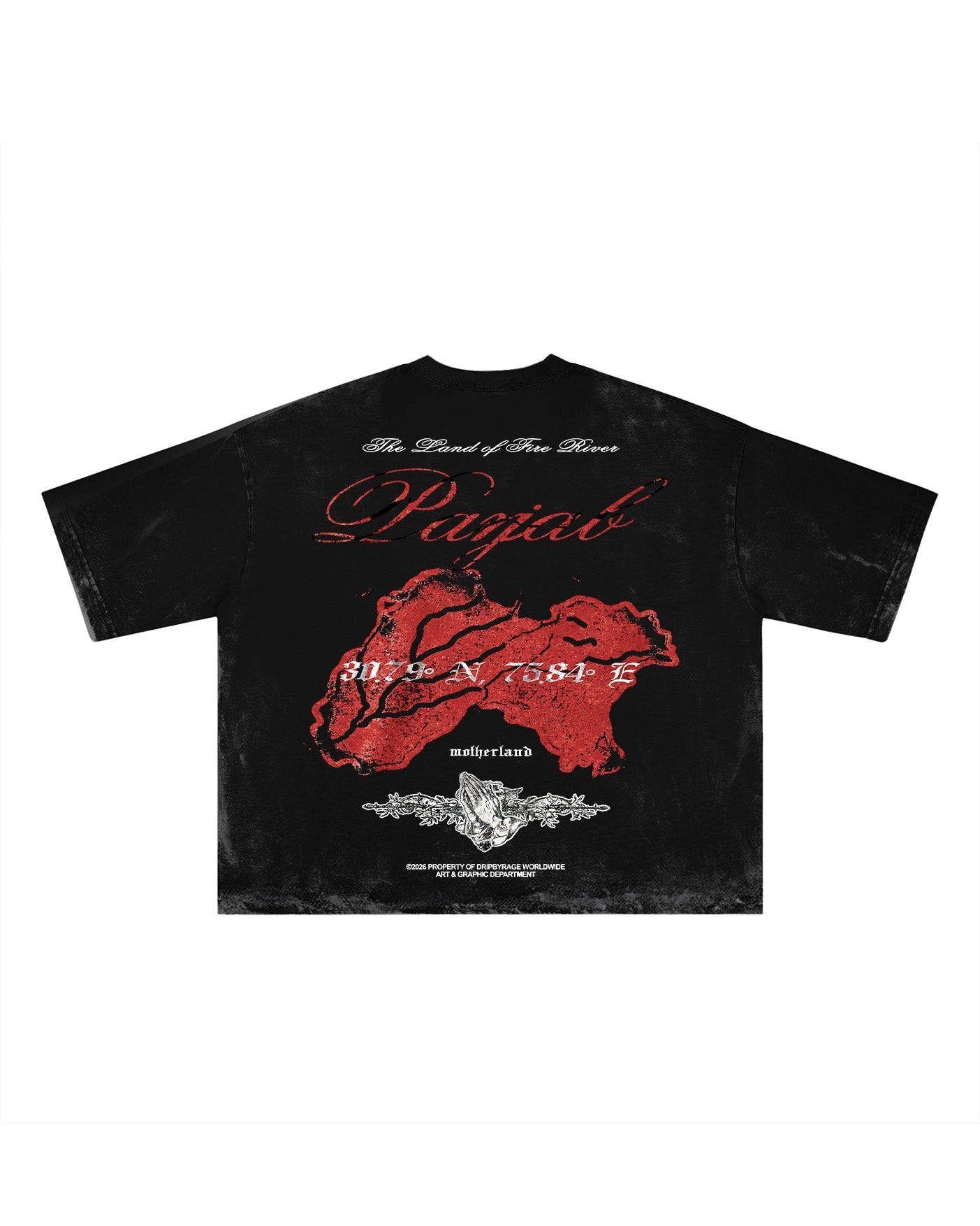 PANJAB BLOOD FADED T-SHIRT - Drip by Rage