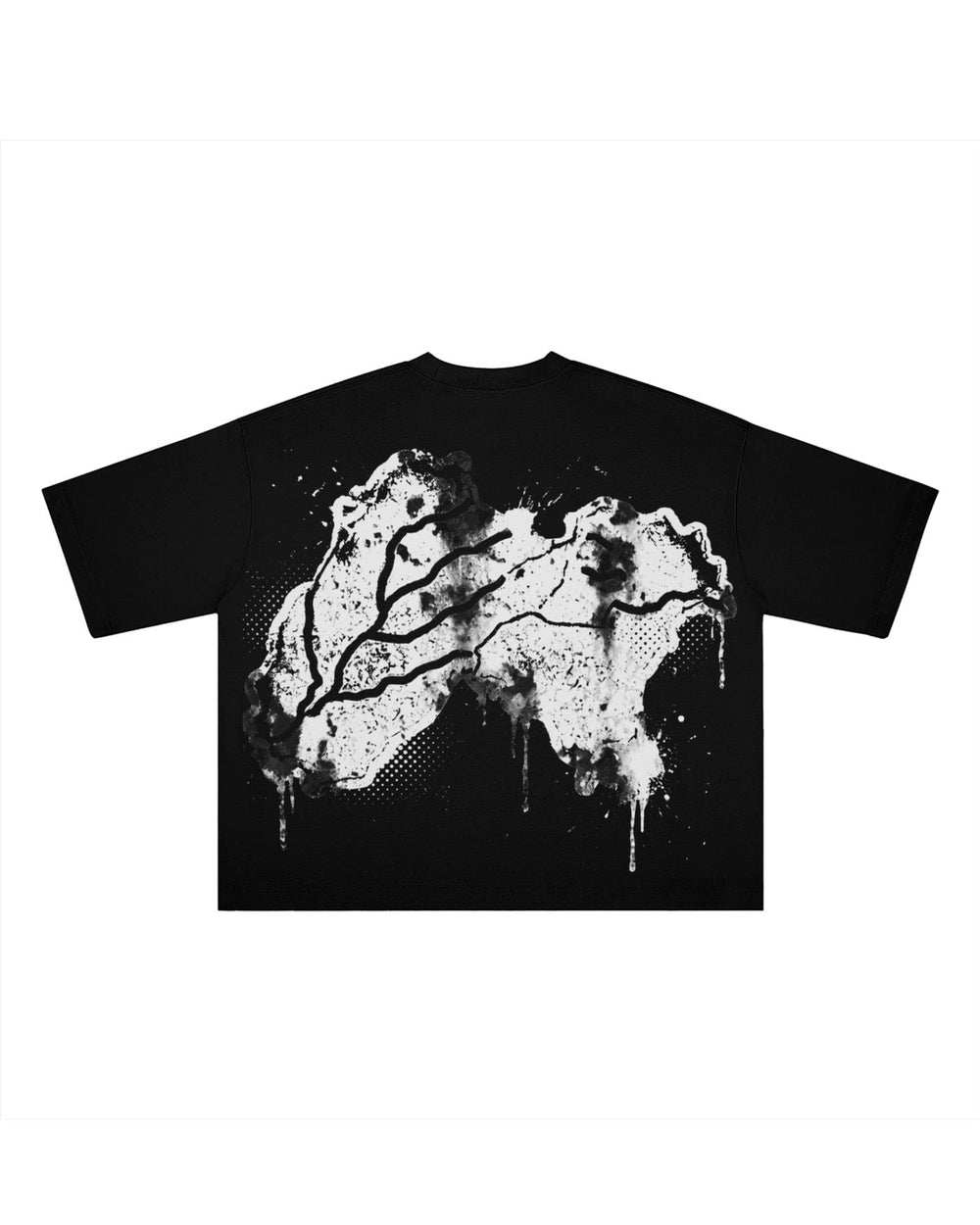 PANJAB CORE BOXY T-SHIRT - Drip by Rage