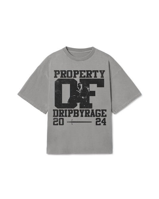 PROPERTY OVERSIZED T-SHIRT FADED GREY - Drip by Rage