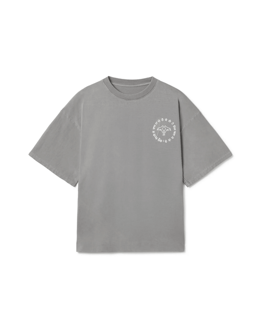 SEIZE AND RULE OVERSIZED FADED T-SHIRT GREY - Drip by Rage