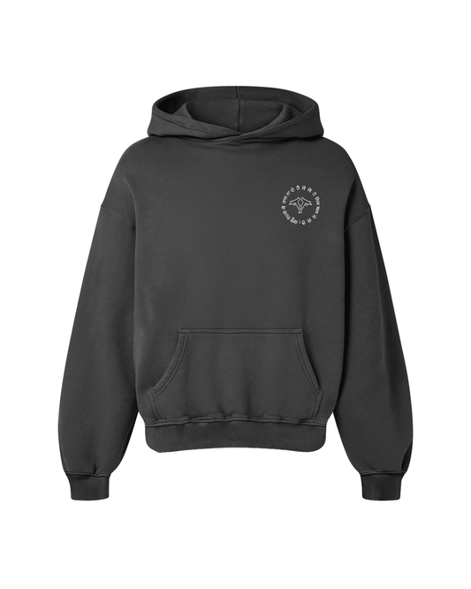 SEIZE AND RULE OVERSIZED HOODIE GREY - Drip by Rage