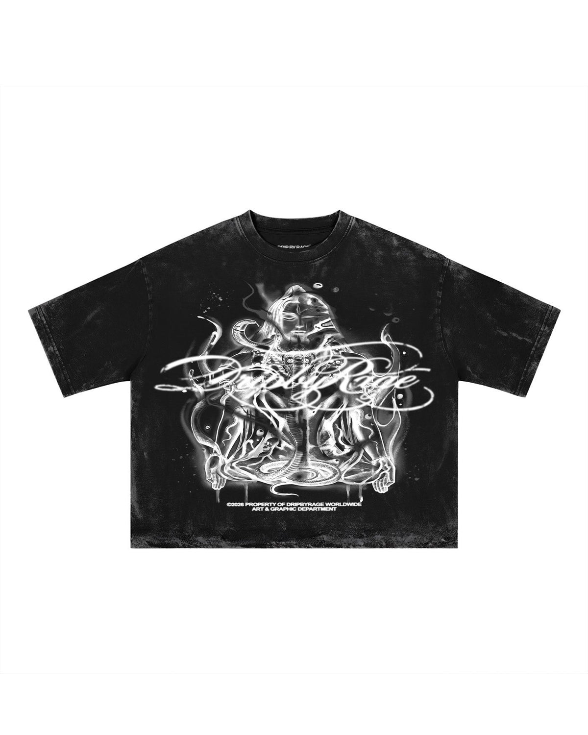 SHIVA SNAKES FADED T-SHIRT - Drip by Rage