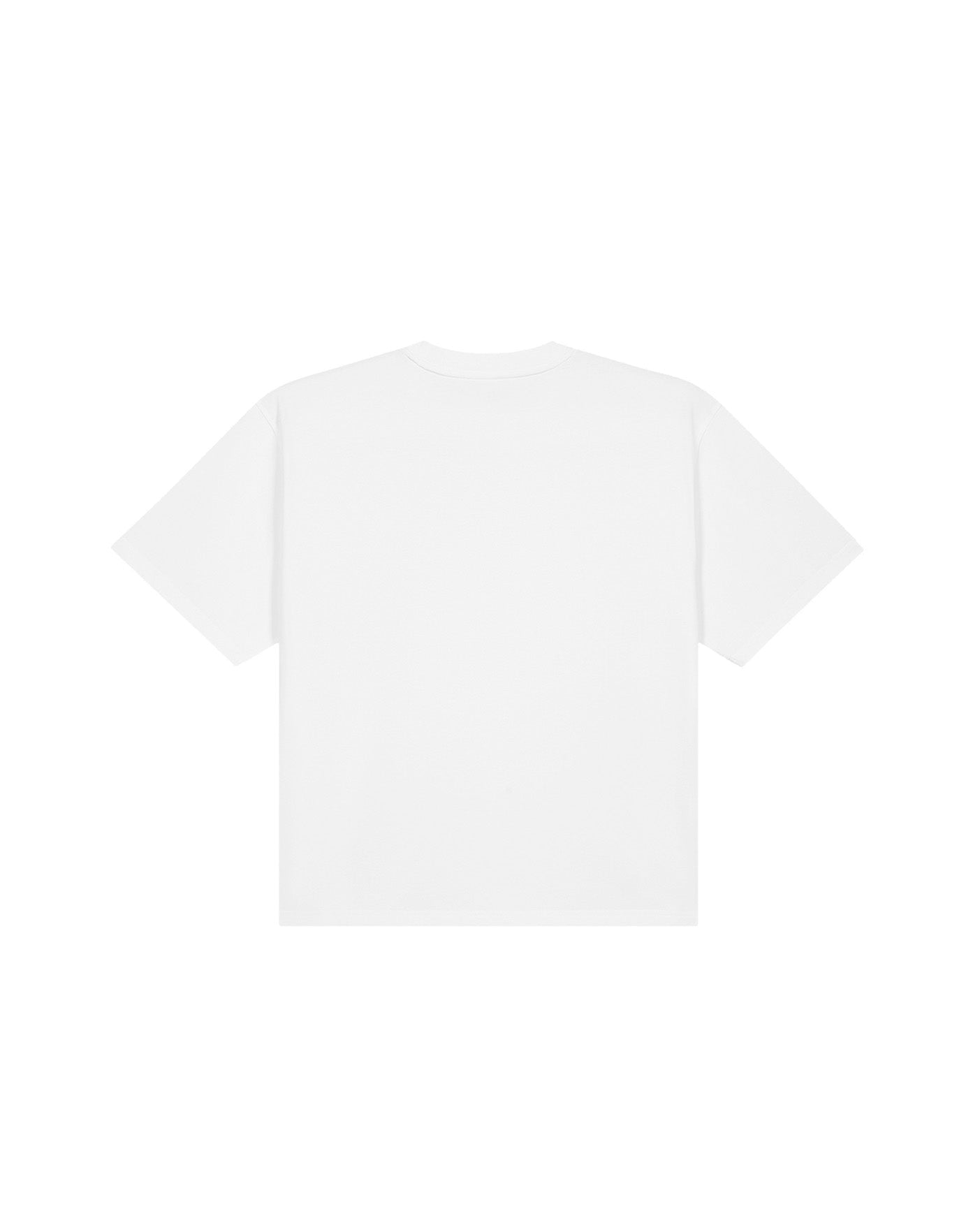 ARSON (FRONT) SEAMS T-SHIRT - Drip by Rage