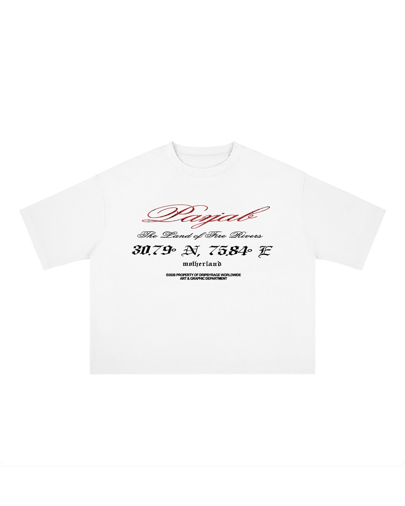 PANJAB BLOOD BOXY T-SHIRT - Drip by Rage