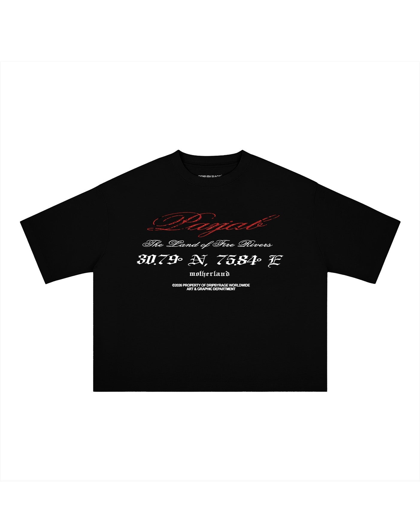 PANJAB BLOOD BOXY T-SHIRT - Drip by Rage