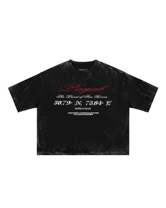 PANJAB BLOOD FADED T-SHIRT - Drip by Rage