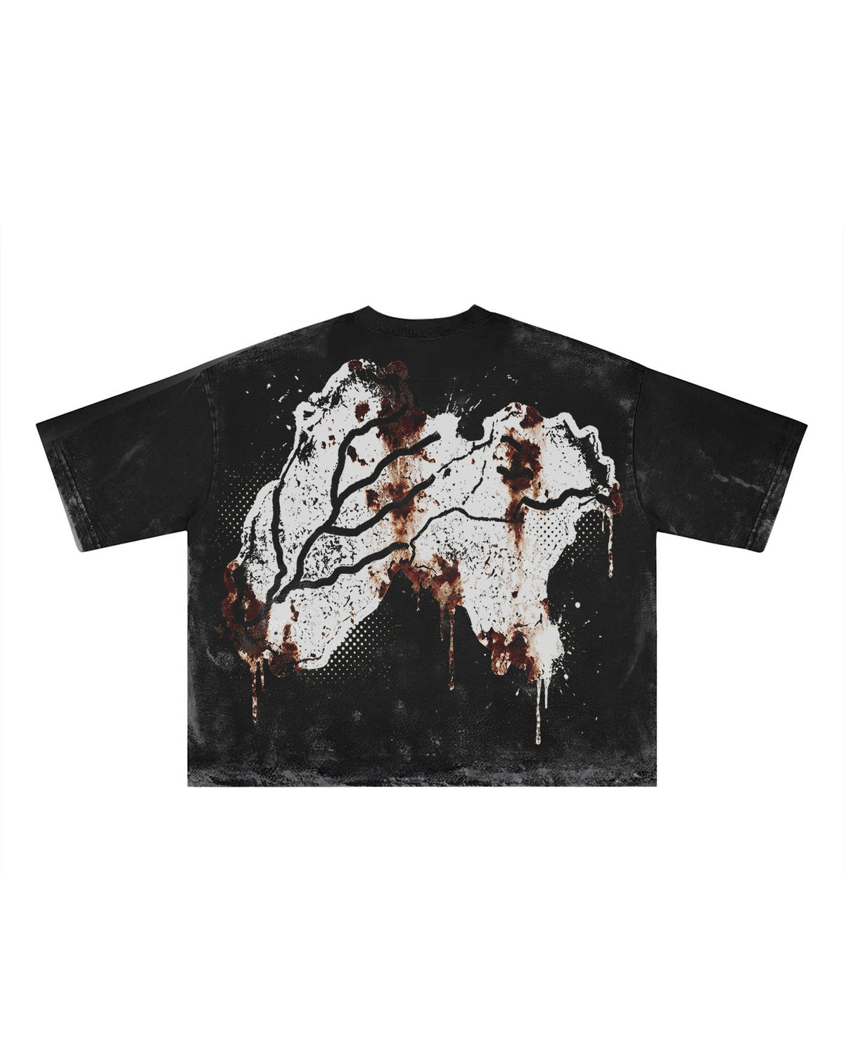 PANJAB CORE FADED T-SHIRT - Drip by Rage