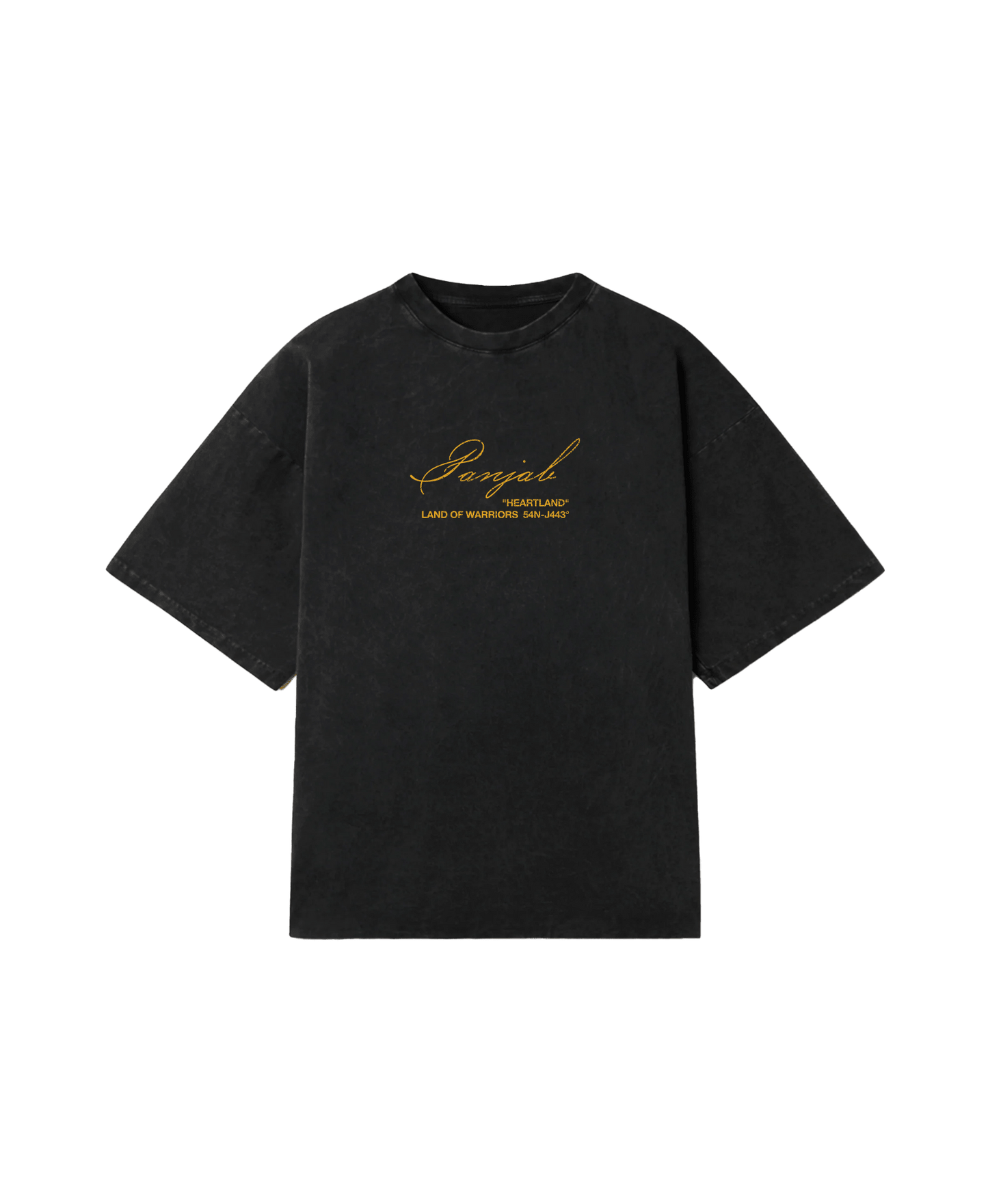PANJAB OVERSIZED FADED T-SHIRT - Drip by Rage
