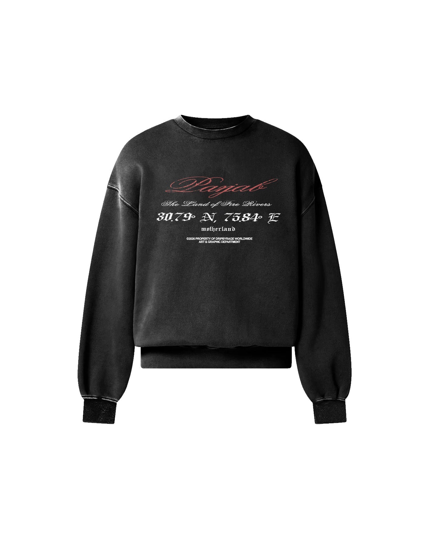PANJAB WORLD FADED SWEATSHIRT - Drip by Rage